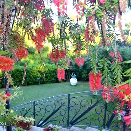 Idyllium * ローマ